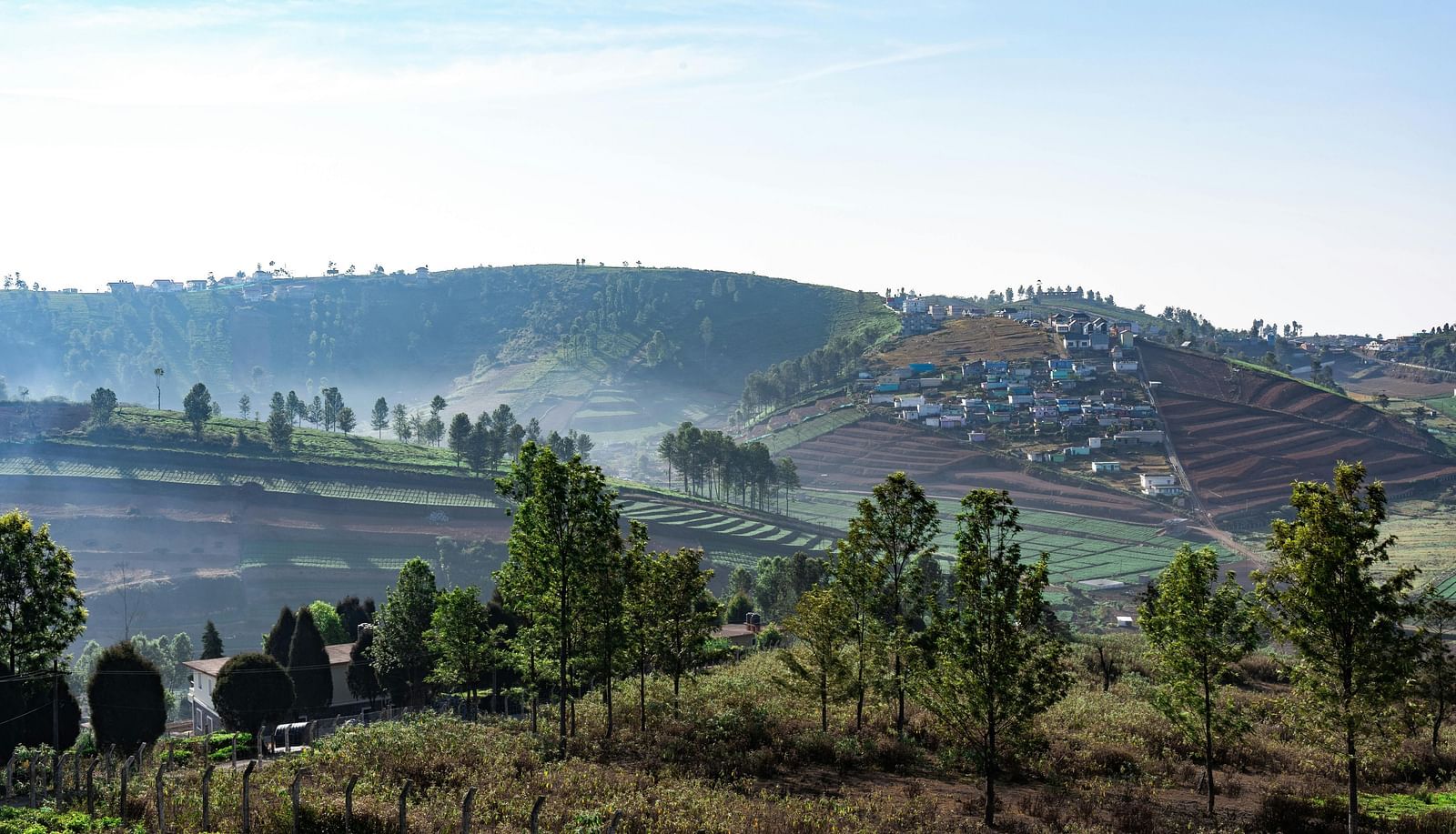 Image of an open area in Ooty with trees and a clear sky in the background.